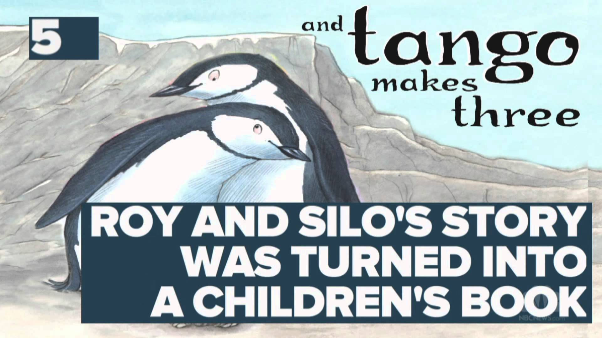 The Gay Penguins of the Central Park Zoo – Forbidden Knowledge TV